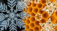 natural geometric patterns
