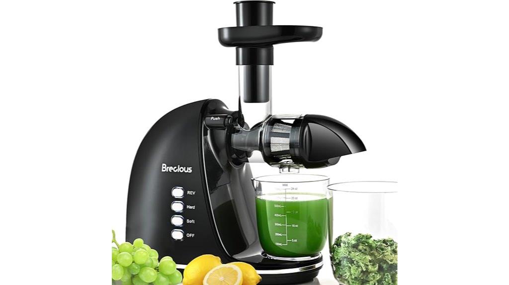 quiet slow juicer