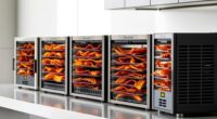 top jerky dehydrator picks