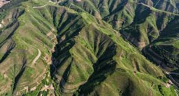 site plan elevation details