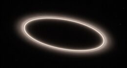 ellipses are more stable