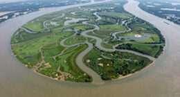 river delta landscape geometry