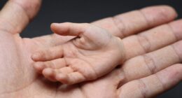 understanding size relationships