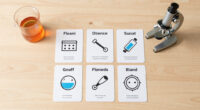 11 Best Science Reference Flashcards in 2026