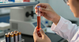 Japan develops a method to recover up to 90% of lithium from used EV batteries