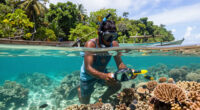 Bomb Fishing Is Wreaking Havoc On Indonesia's Coral Reefs