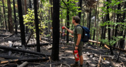 Waldbrand Gardasee
