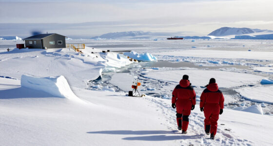Antarctic Sea Ice Grows To Its 2026 Maximum