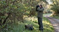Best Gifts for a Bird Watcher: Backyard and Field Picks They'll Enjoy Using